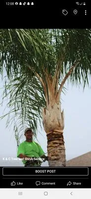 K & C Tree and Shrub Service Logo