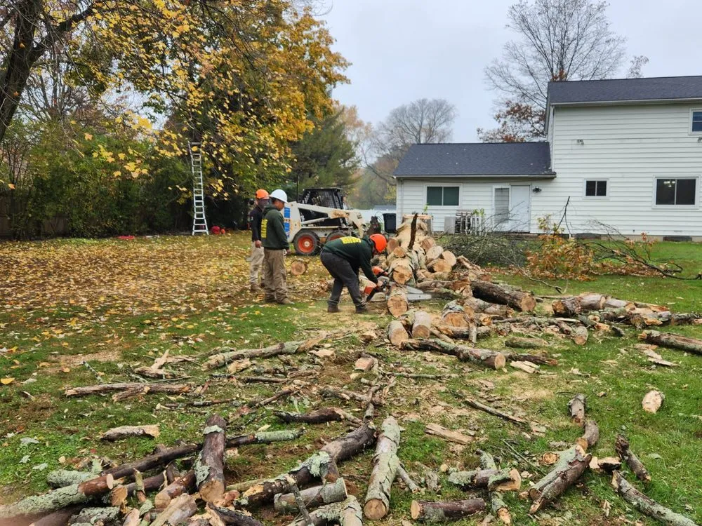 Professional residential landscaping near you in Hamilton Township, NJ by K & CG Landscaping Services