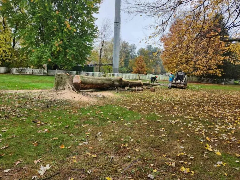 Reliable outdoor landscaping for homes across Hamilton Township, NJ - K & CG Landscaping Services