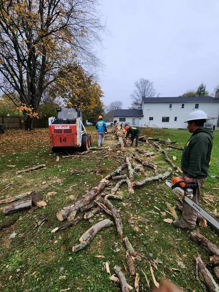 Custom lawn care service with custom design across Hamilton Township, NJ - K & CG Landscaping Services