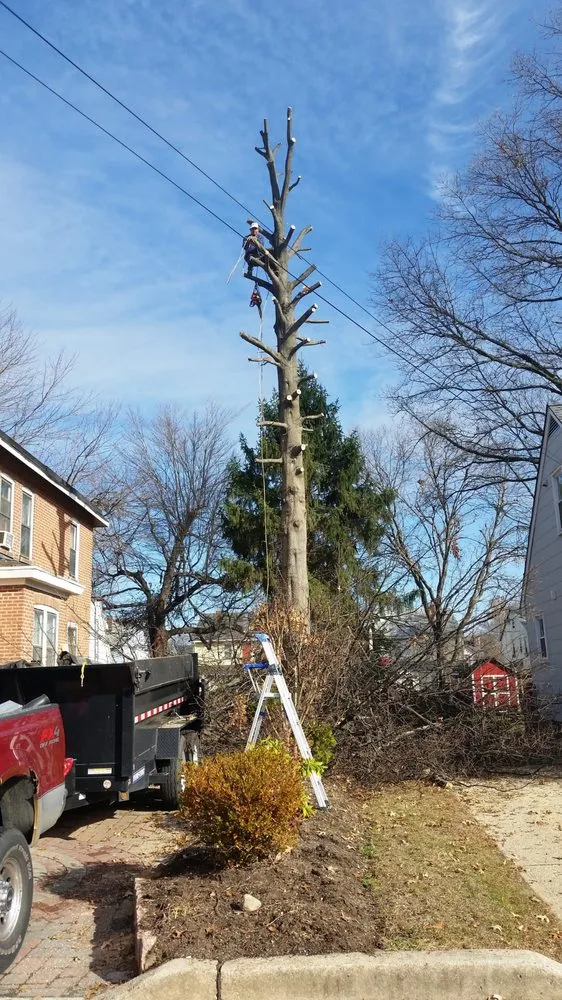 Professional landscape design in Hamilton Township, NJ - K & CG Landscaping Services
