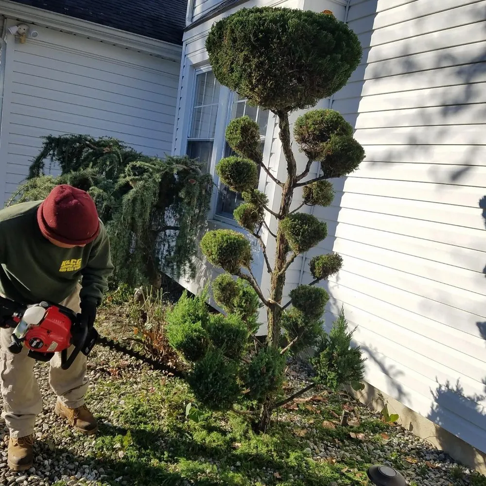 Professional yard maintenance in Hamilton Township, NJ - K & CG Landscaping Services