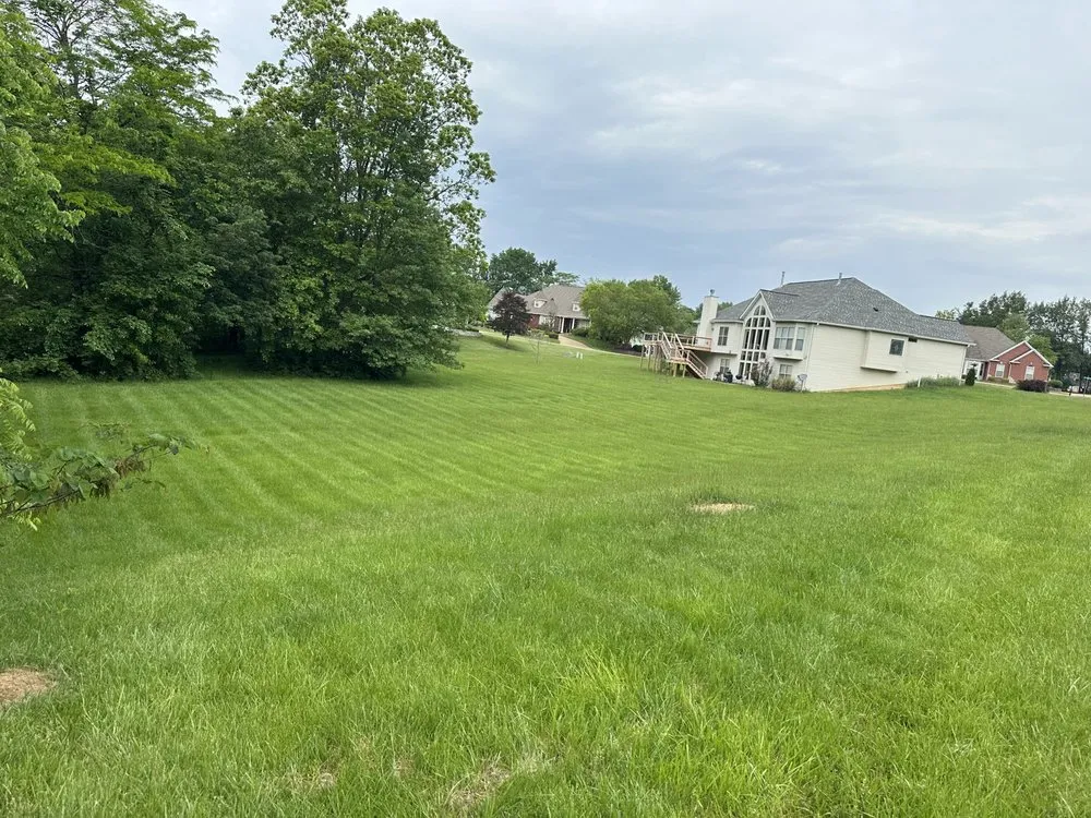 Local yard cleanup service in Saint Paul, MO - K & D Land Maintenance