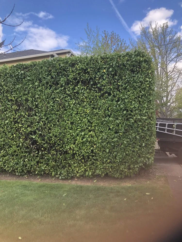 Top-rated landscape design experts serving Portland, OR - K & D Lawn Care, Yard Work