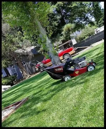 Local yard cleanup service near you across Portland, OR - K & D Lawn Care, Yard Work