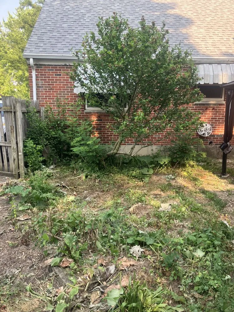 Reliable yard cleanup service for homes in Dayton, OH by K & D Lawn Services