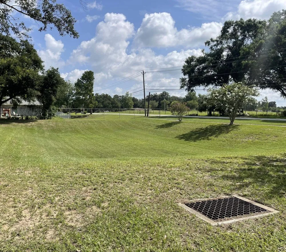 Custom yard cleanup service in Lakeland, FL - K & E Property Management