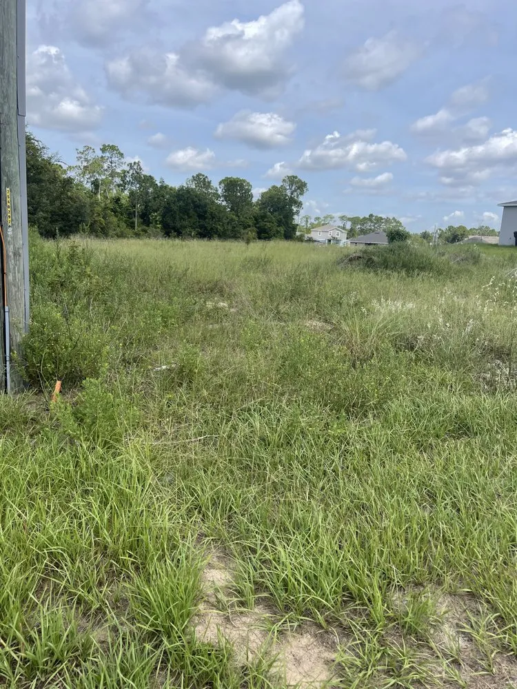 Custom lawn care service experts serving Lakeland, FL - K & E Property Management