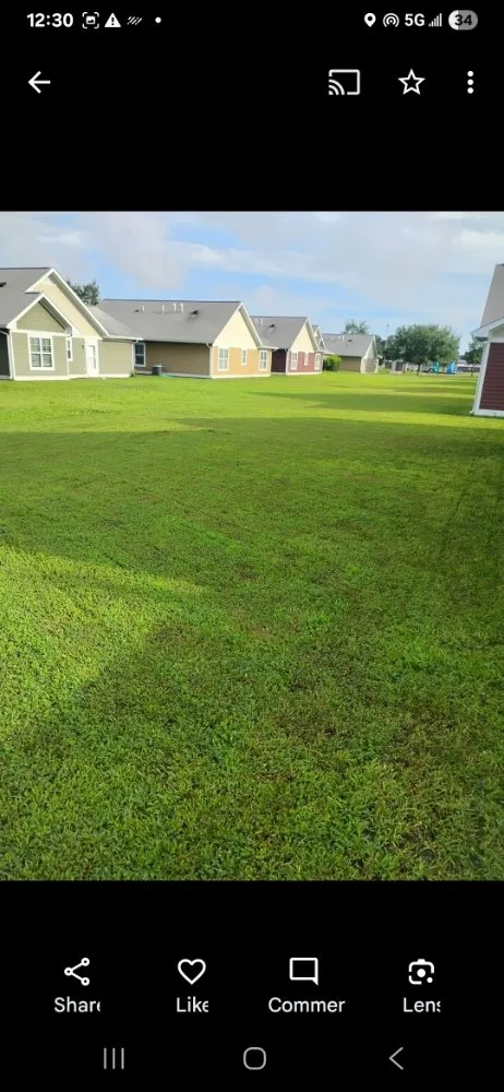 Top-rated yard cleanup service in Havana, IL by K & G Power Washing and Lawn Care