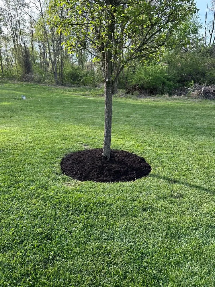 Reliable yard maintenance for outdoor upgrades in Eighty Four, PA by K & H Construction