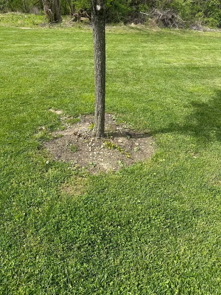 Custom outdoor landscaping for beautiful yards across Eighty Four, PA - K & H Construction
