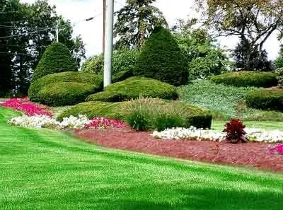 Reliable residential landscaping experts serving Lakewood, CA - K & H Landscape - Masonry and Landscape Contractor