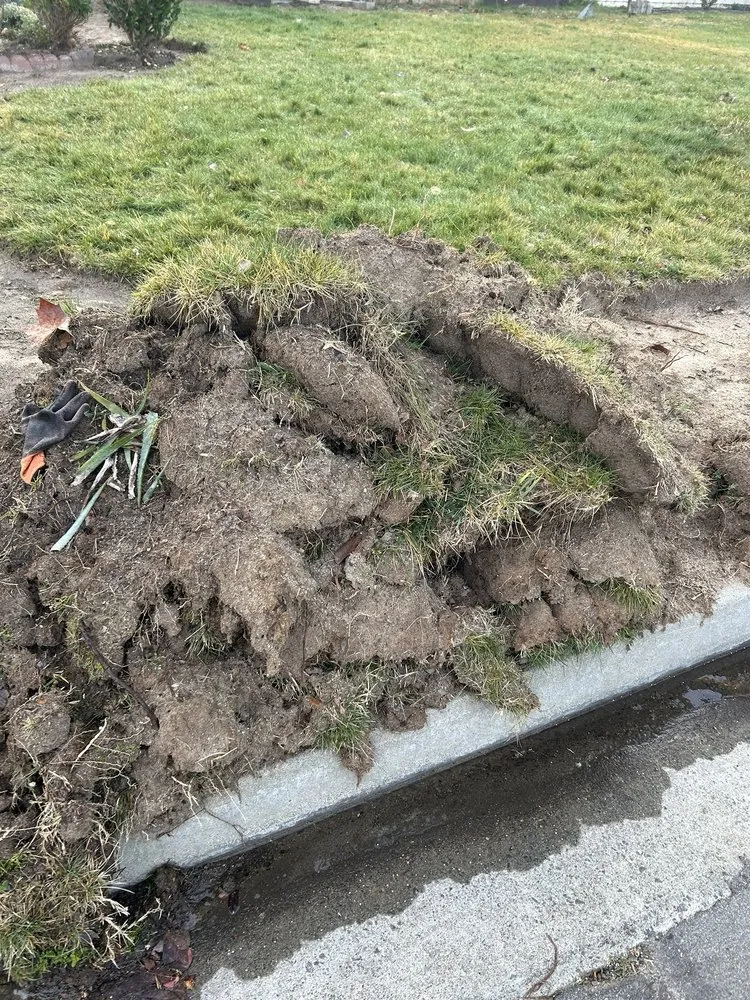 Top-rated landscape installation in Lake Elsinore, CA by K & H Landscaping