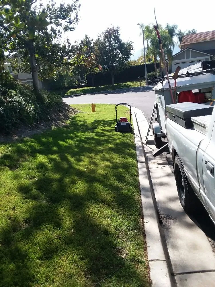 Affordable landscaping services experts serving Lake Elsinore, CA - K & H Landscaping
