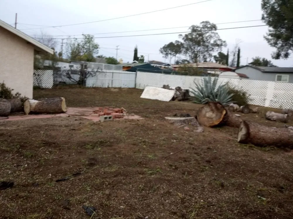 Reliable yard maintenance for beautiful yards across Lake Elsinore, CA - K & H Landscaping