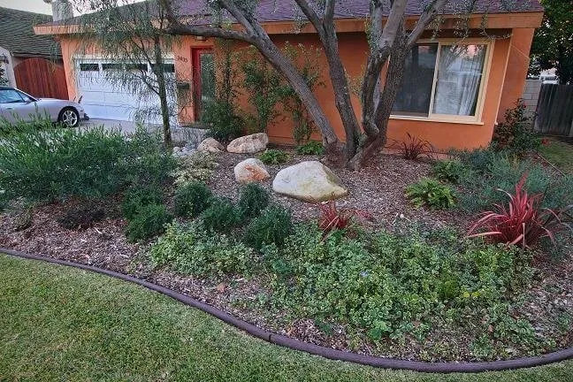 Expert landscape design for outdoor upgrades in Long Beach, CA by K & H Turf Landscape Treecare
