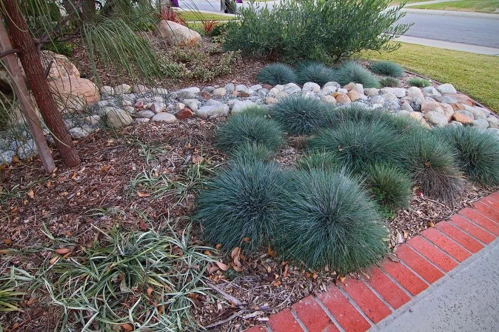 Trusted residential landscaping experts serving Long Beach, CA - K & H Turf Landscape Treecare