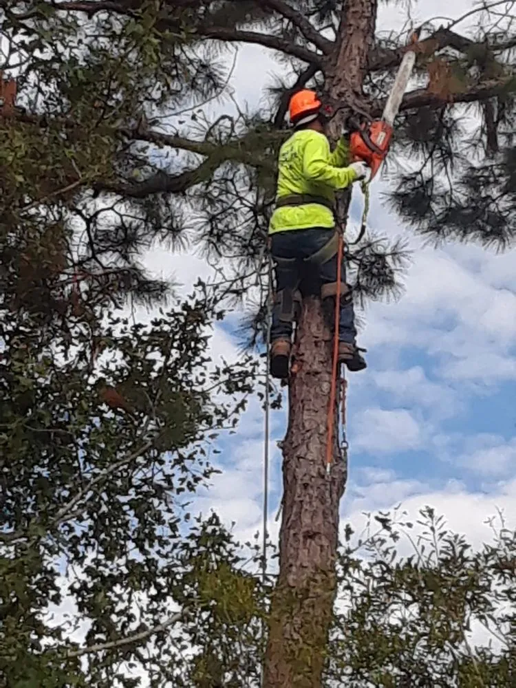 Expert residential landscaping for residential properties in Kinston, NC by K & J Concrete