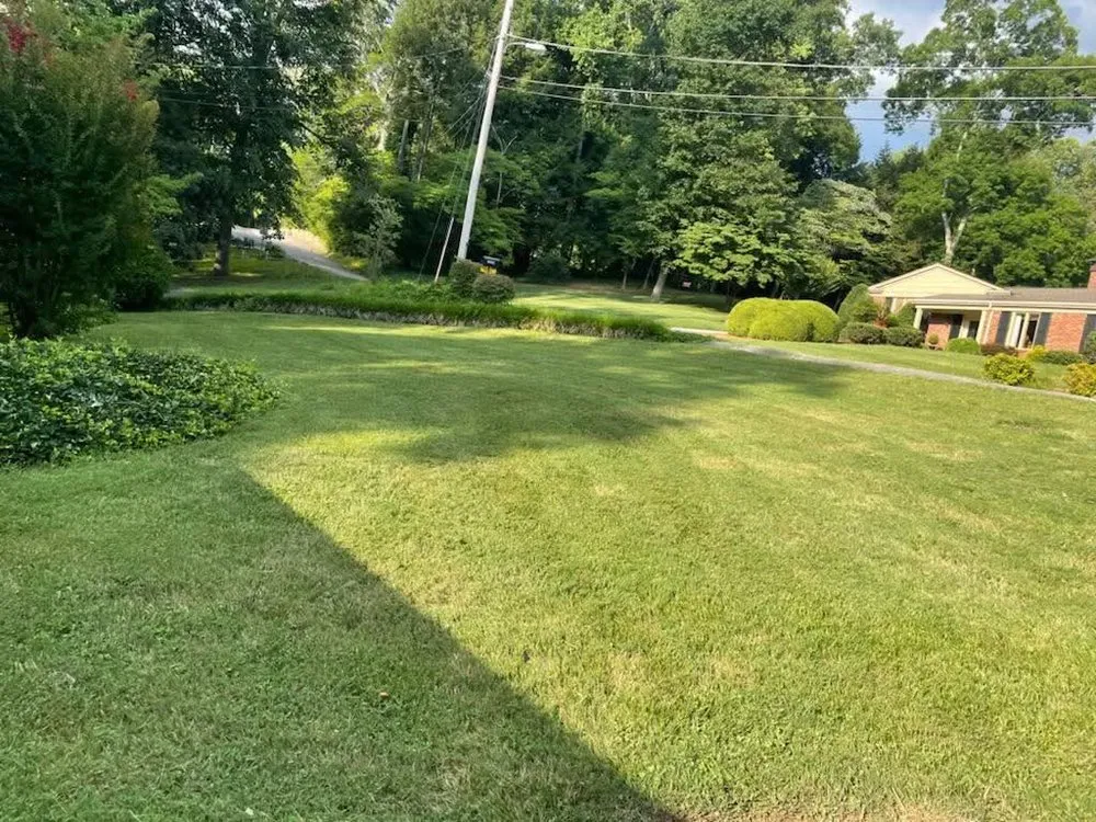 Local yard cleanup service in Gate City, VA by K & J Lawn Care