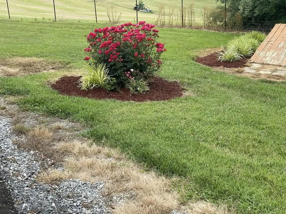 Affordable yard maintenance in Gate City, VA by K & J Lawn Care