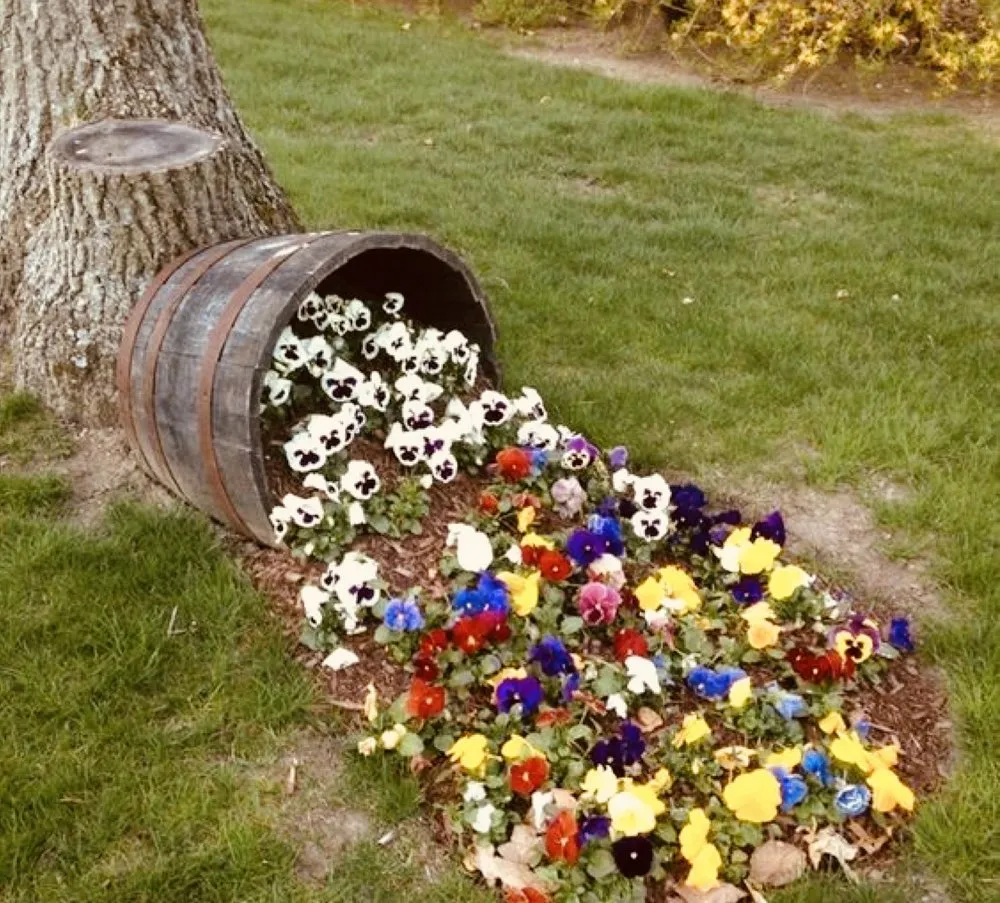 Affordable lawn mowing service experts serving Amsterdam, NY - K & J Property Guys