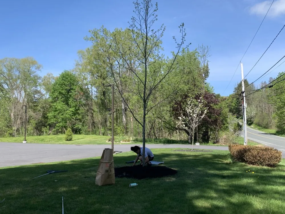 Trusted outdoor landscaping in Amsterdam, NY - K & J Property Guys