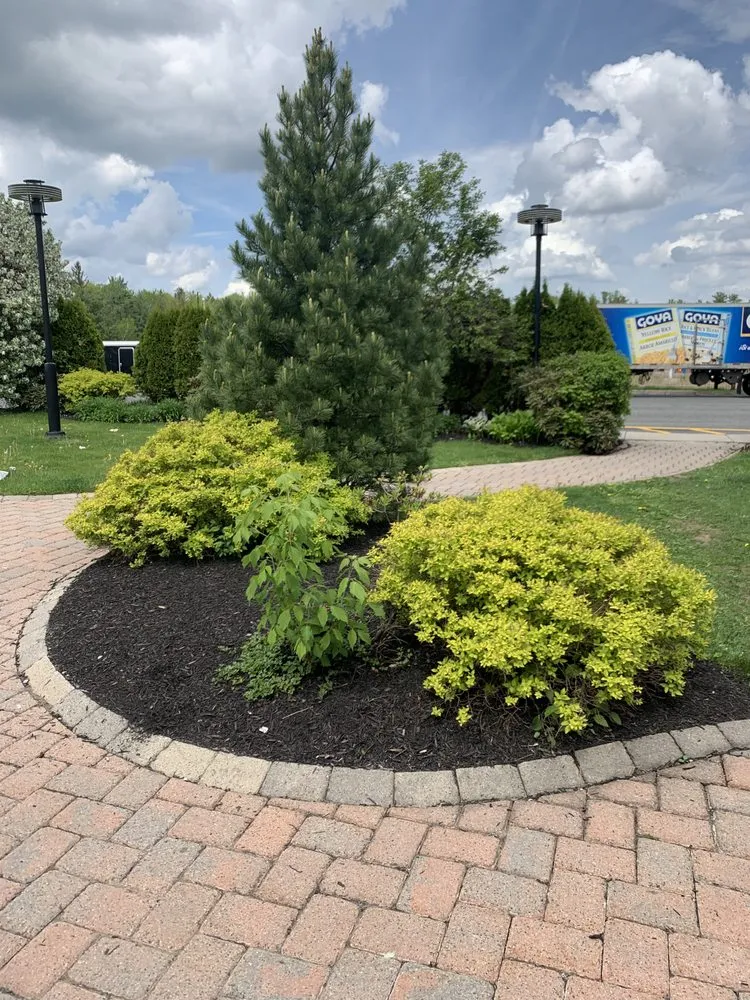 Affordable yard maintenance for year-round maintenance in Amsterdam, NY by K & J Property Guys