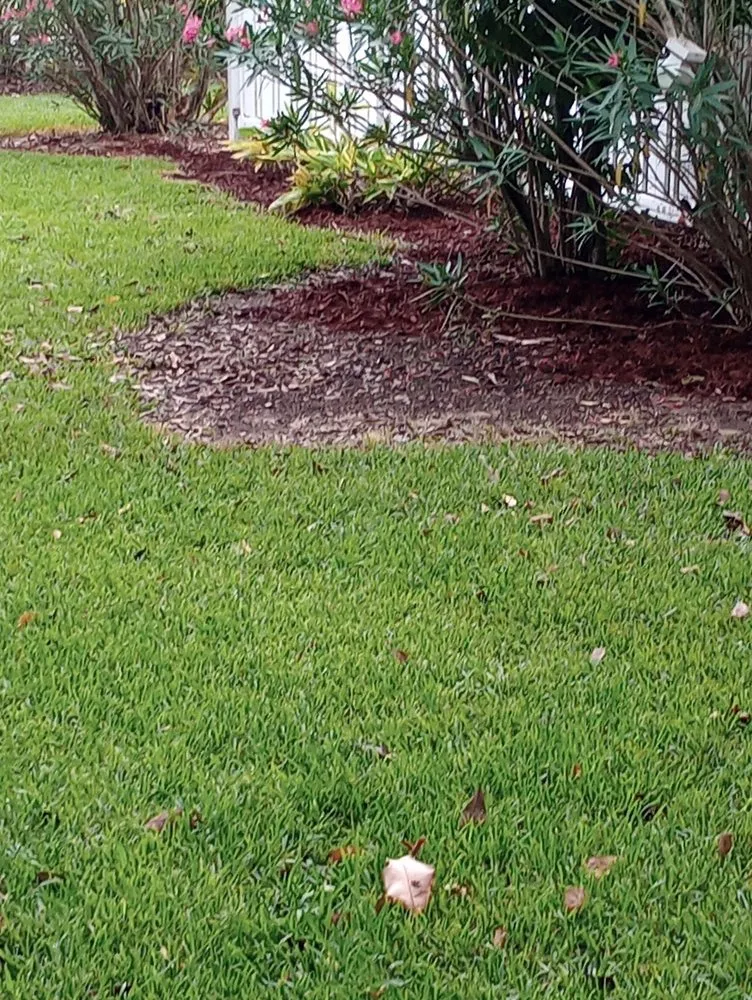 Top-rated yard cleanup service for homes in Cut Off, LA by K & J Services