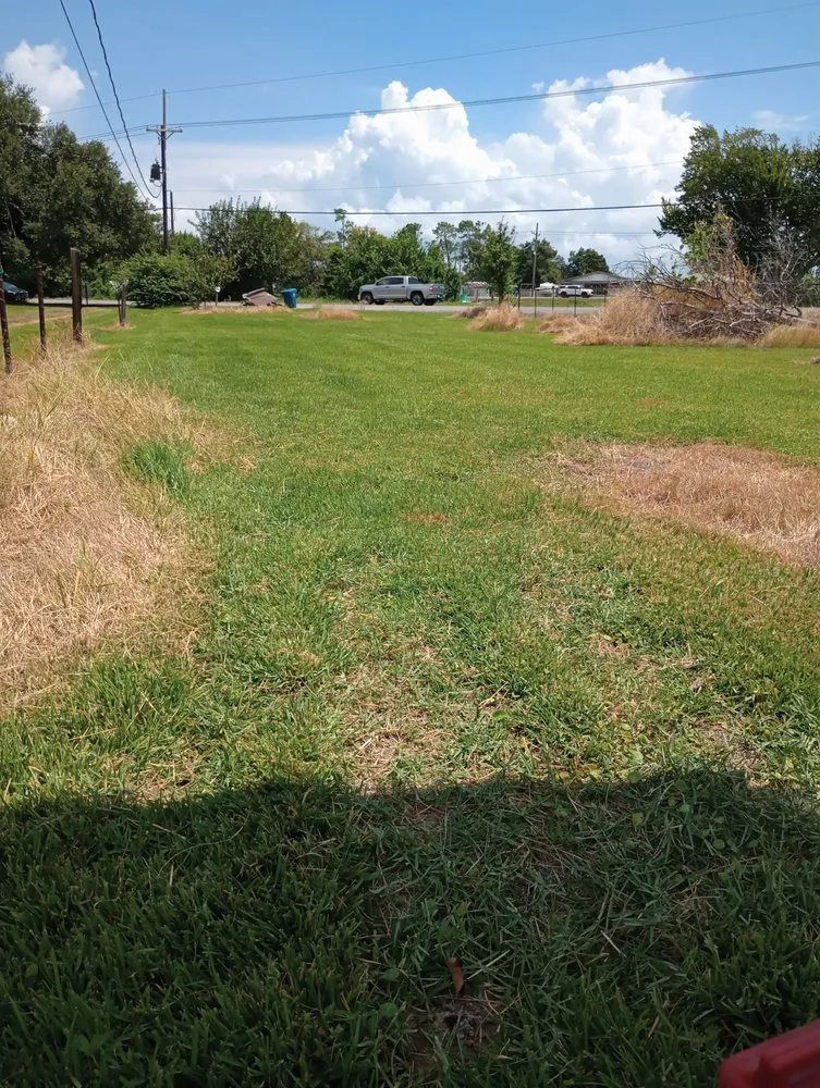 Top-rated yard cleanup service in Cut Off, LA by K & J Services