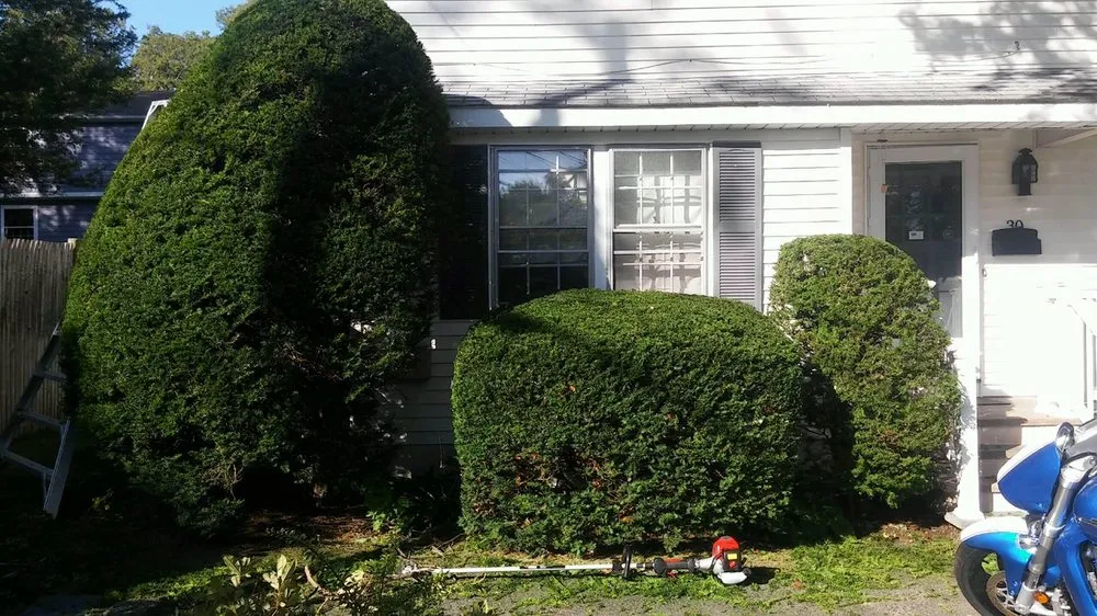 Expert yard maintenance in Holliston, MA - K & K Landscape and Cleaning Services