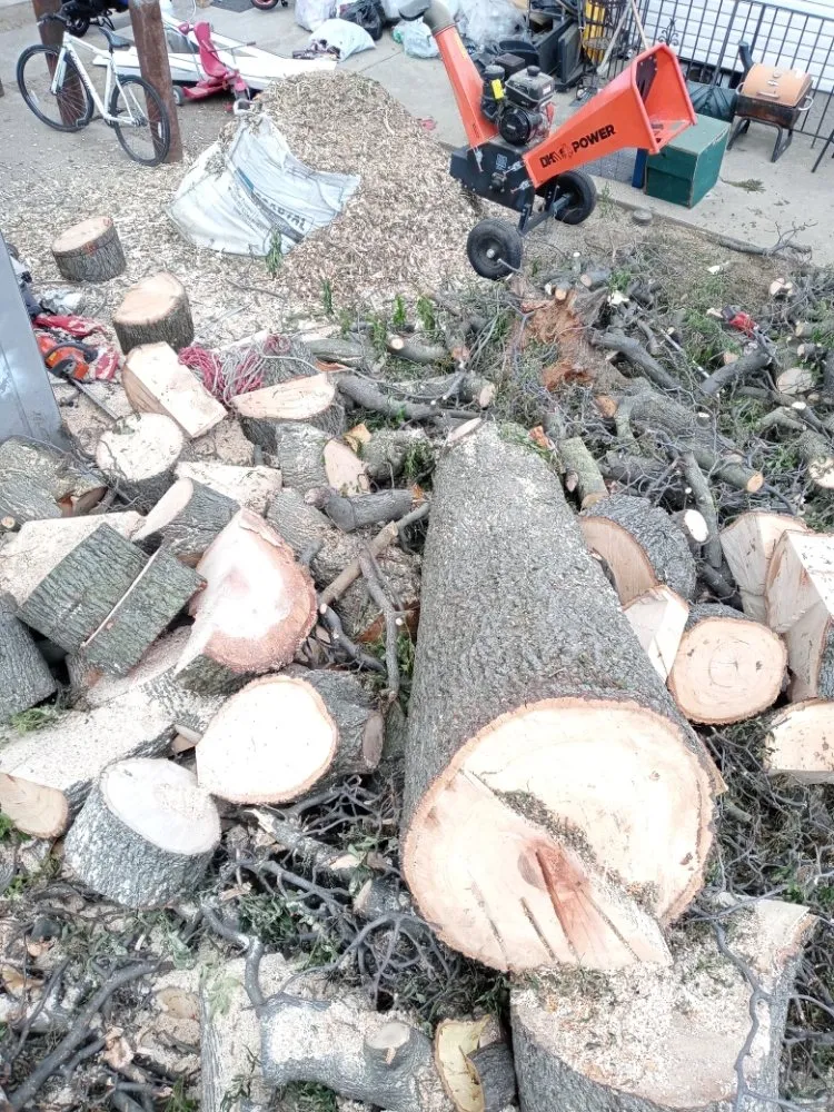 Top-rated yard maintenance in New York, NY by K & K Landscaping