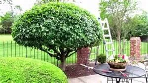 Professional residential landscaping in Harper Woods, MI - K & K LAWN & SHRUB SERVICES INC grosse pointe