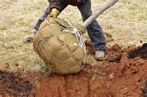 Local outdoor landscaping for outdoor upgrades across Harper Woods, MI - K & K LAWN & SHRUB SERVICES INC grosse pointe