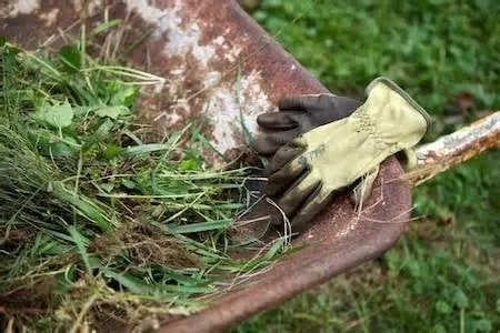 Trusted lawn mowing service in Harper Woods, MI by K & K LAWN & SHRUB SERVICES INC grosse pointe