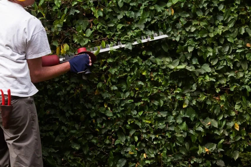 Affordable residential landscaping for beautiful yards across Harper Woods, MI - K & K LAWN & SHRUB SERVICES INC grosse pointe