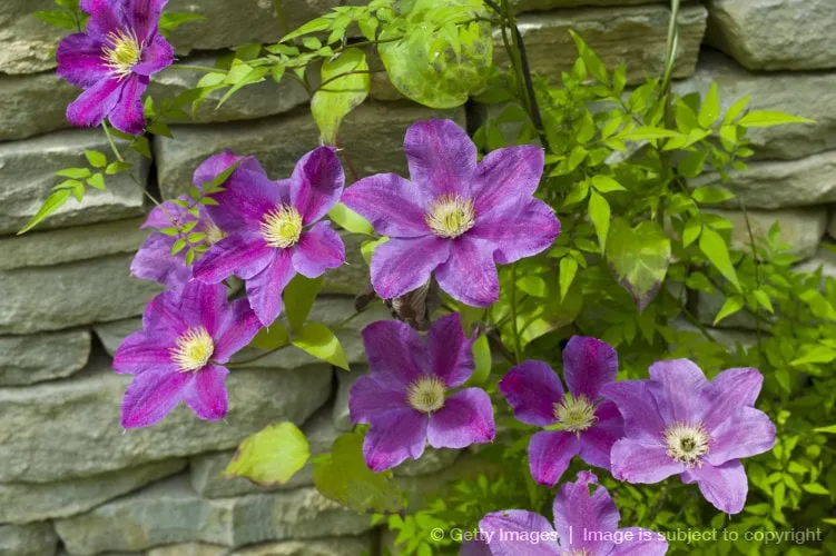 Affordable landscape installation in Harper Woods, MI - K & K LAWN & SHRUB SERVICES INC grosse pointe