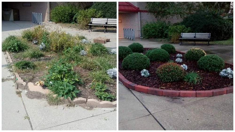 Local yard maintenance in Knox, IN by K & K Lawn Service & Small Scape