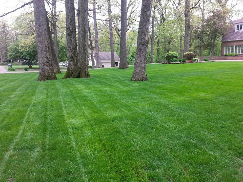 Top-rated outdoor landscaping for beautiful yards in Knox, IN by K & K Lawn Service & Small Scape