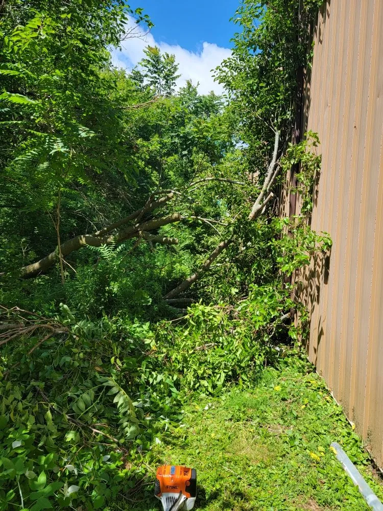 Expert yard cleanup service in Saint Joe, IN by K & K Outdoors