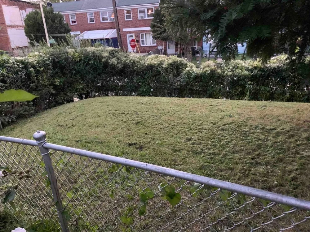 Top-rated garden landscaping experts serving Brooklyn Park, MD - K & K Services