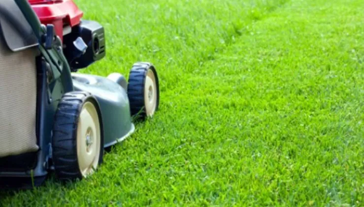 Custom landscape design with custom design across Brooklyn Park, MD - K & K Services