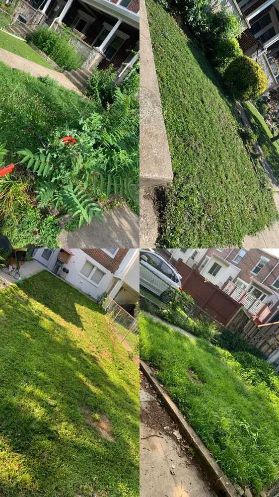 Affordable lawn mowing service in Brooklyn Park, MD by K & K Services