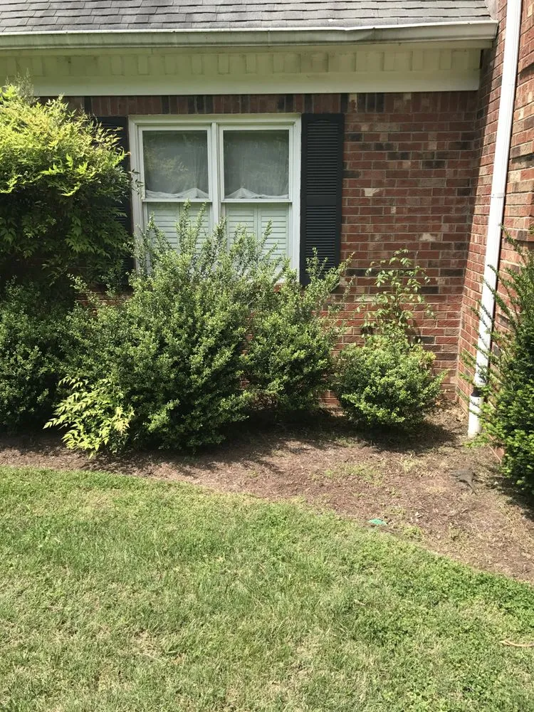 Professional yard maintenance experts serving Murfreesboro, TN - K & K Superior Lawncare