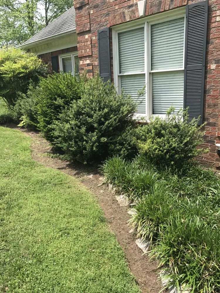 Professional yard maintenance in Murfreesboro, TN - K & K Superior Lawncare