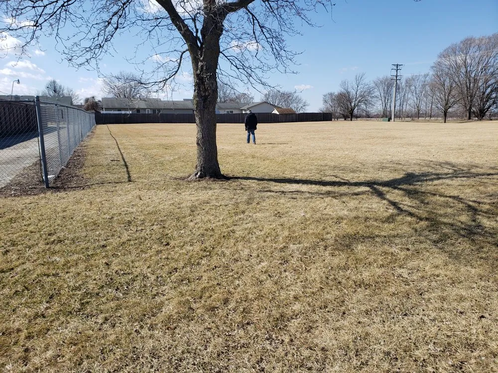 Expert yard cleanup service in Rantoul, IL by K & M Mowing Services.