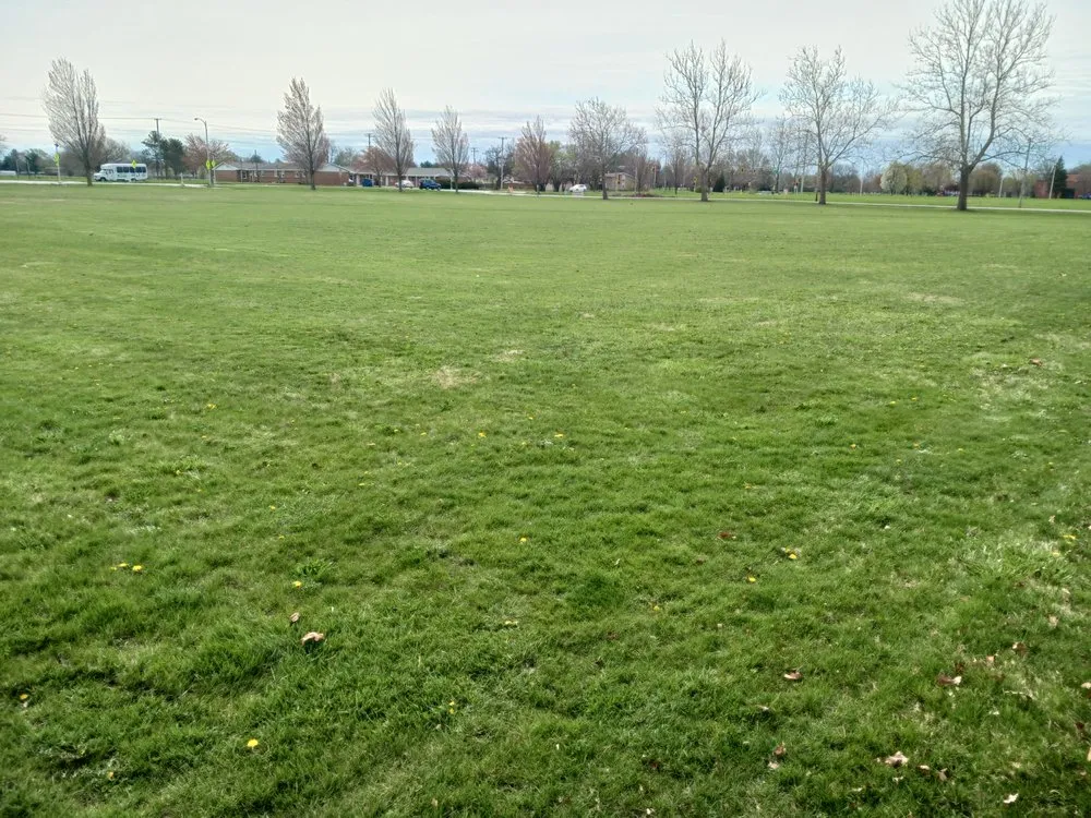 Local lawn care service experts serving Rantoul, IL - K & M Mowing Services.