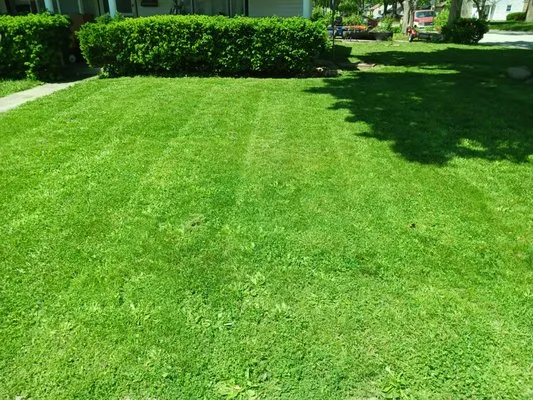 K & M Mowing Services.