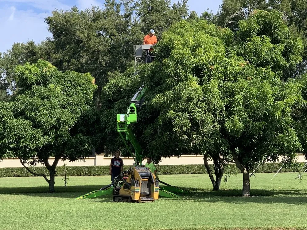 Top-rated yard maintenance in Orlando, FL - K & M Professional Services