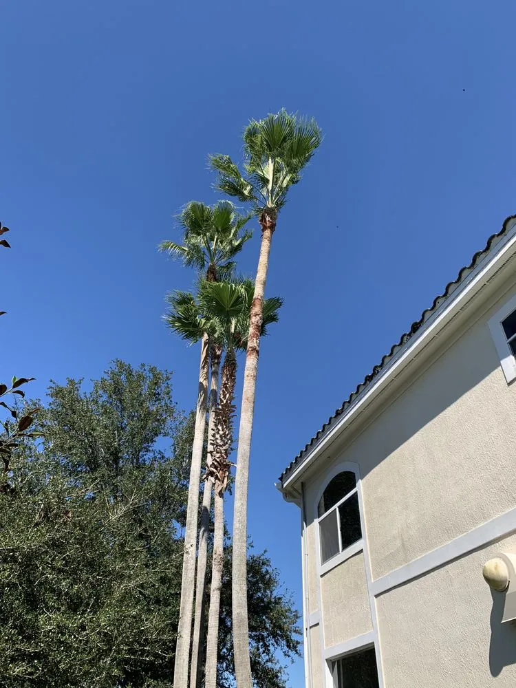 Affordable garden landscaping with custom design across Orlando, FL - K & M Professional Services