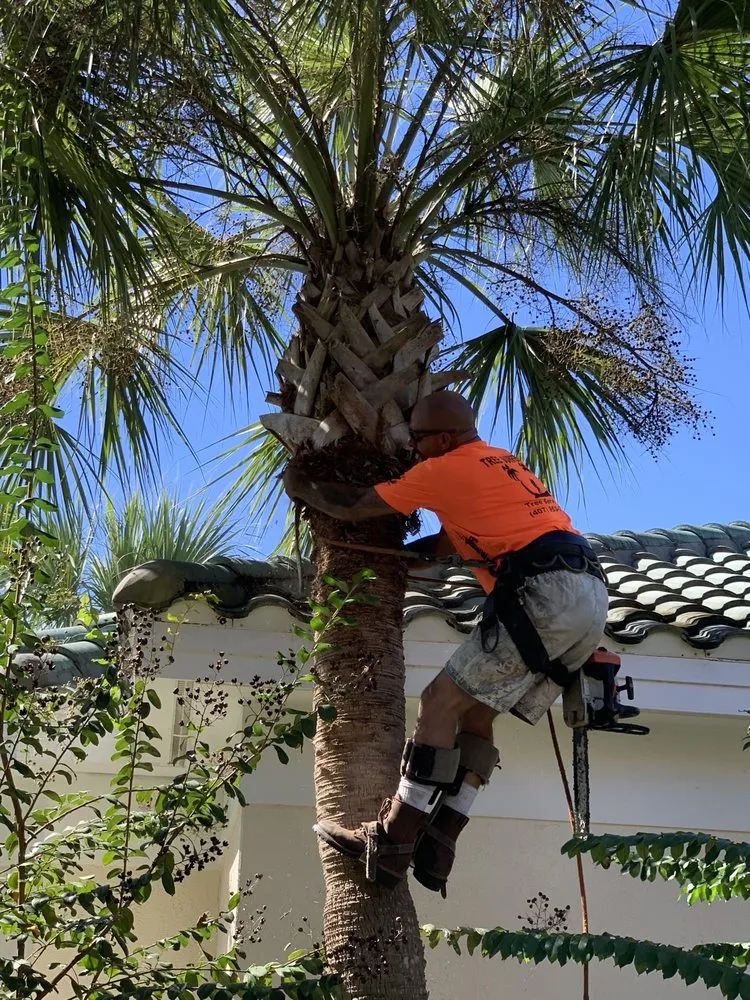 Professional landscape design for outdoor upgrades across Orlando, FL - K & M Professional Services